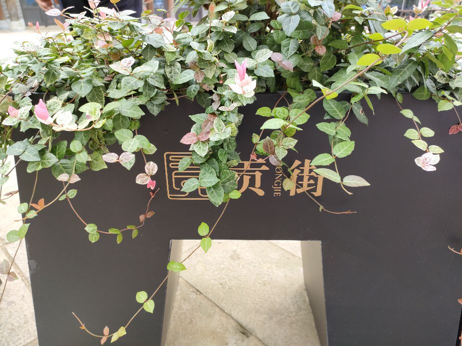 合肥撮街pk贡街,合肥贡街美食一条街