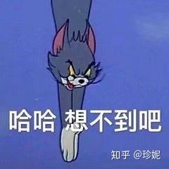 睡不着文案可爱沙雕朋友圈,可爱沙雕有趣的朋友圈文案短句