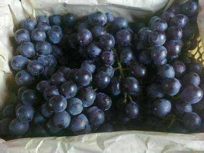 新鲜葡萄自做葡萄酒,葡萄制作葡萄酒方法