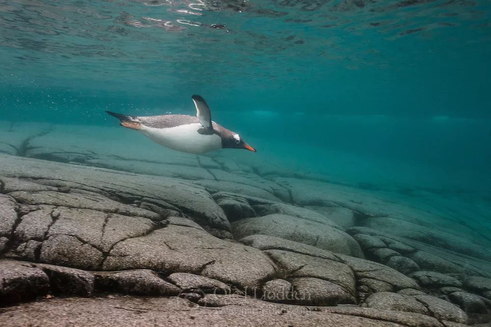 汇率起起伏伏，自然旅行跟着这张表格走，最划算