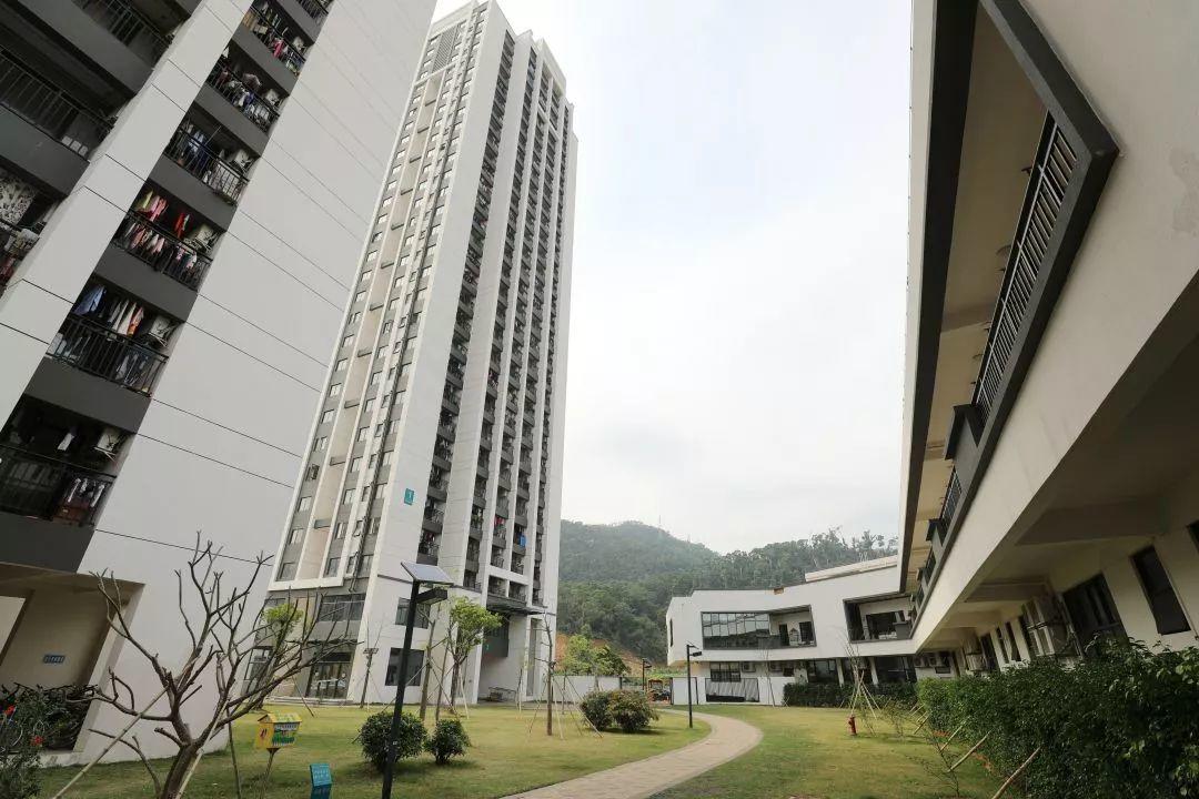 小孩入户珠海需要什么条件,珠海户口孩子入读公立小学