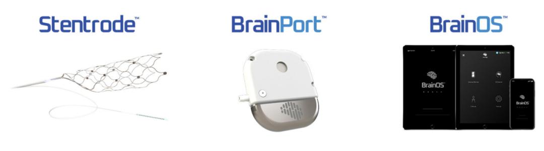 仿生机器人公司排名,仿生科技公司排名