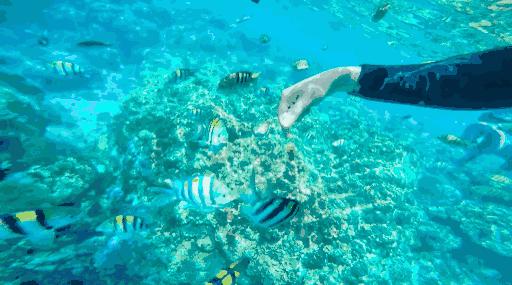 对海乘的职业认知,海乘工作的优势与缺点