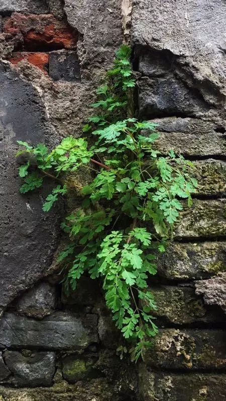 读给你听原文,读给你听