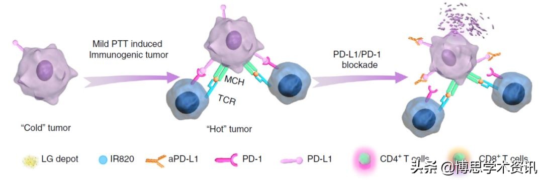 中国药科大学药物治疗学,中国药科大学中药资源与新药开发