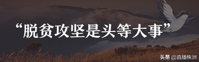 待到山花烂漫时诗文,待到山花烂漫时革命英烈