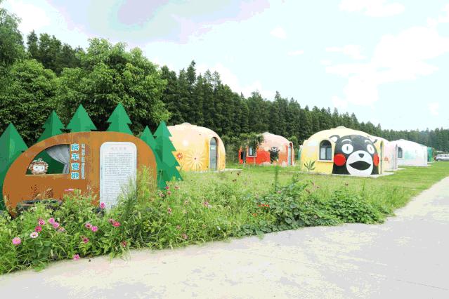 森氧之地，秋游必选！金湖万亩水上森林，真的别有趣味