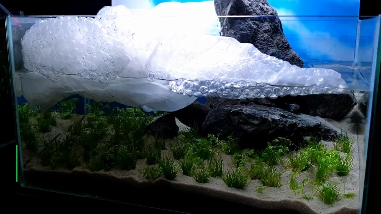 石头观赏鱼缸建造图,4块石头造景20缸