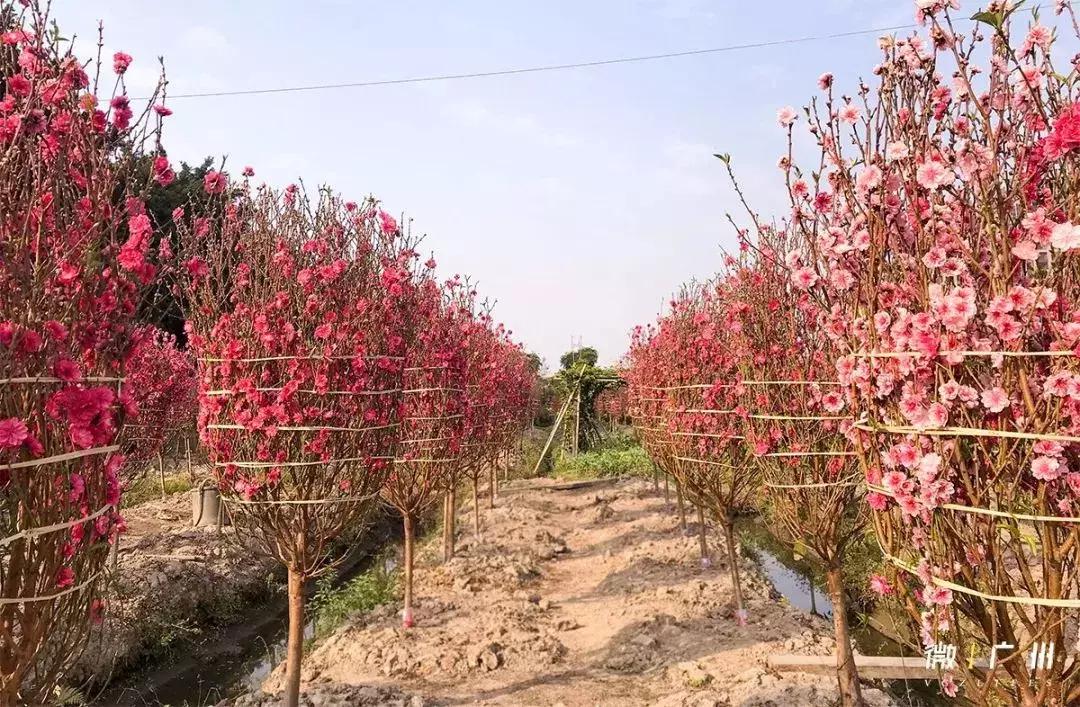 春节游玩攻略正式上线,春节嗨玩攻略