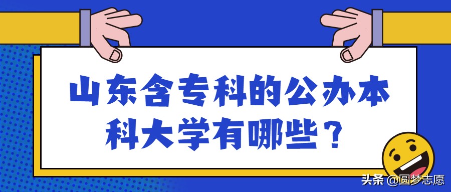 山东有专科的公办本科院校有哪些,山东公办本科院校招专科的有哪些
