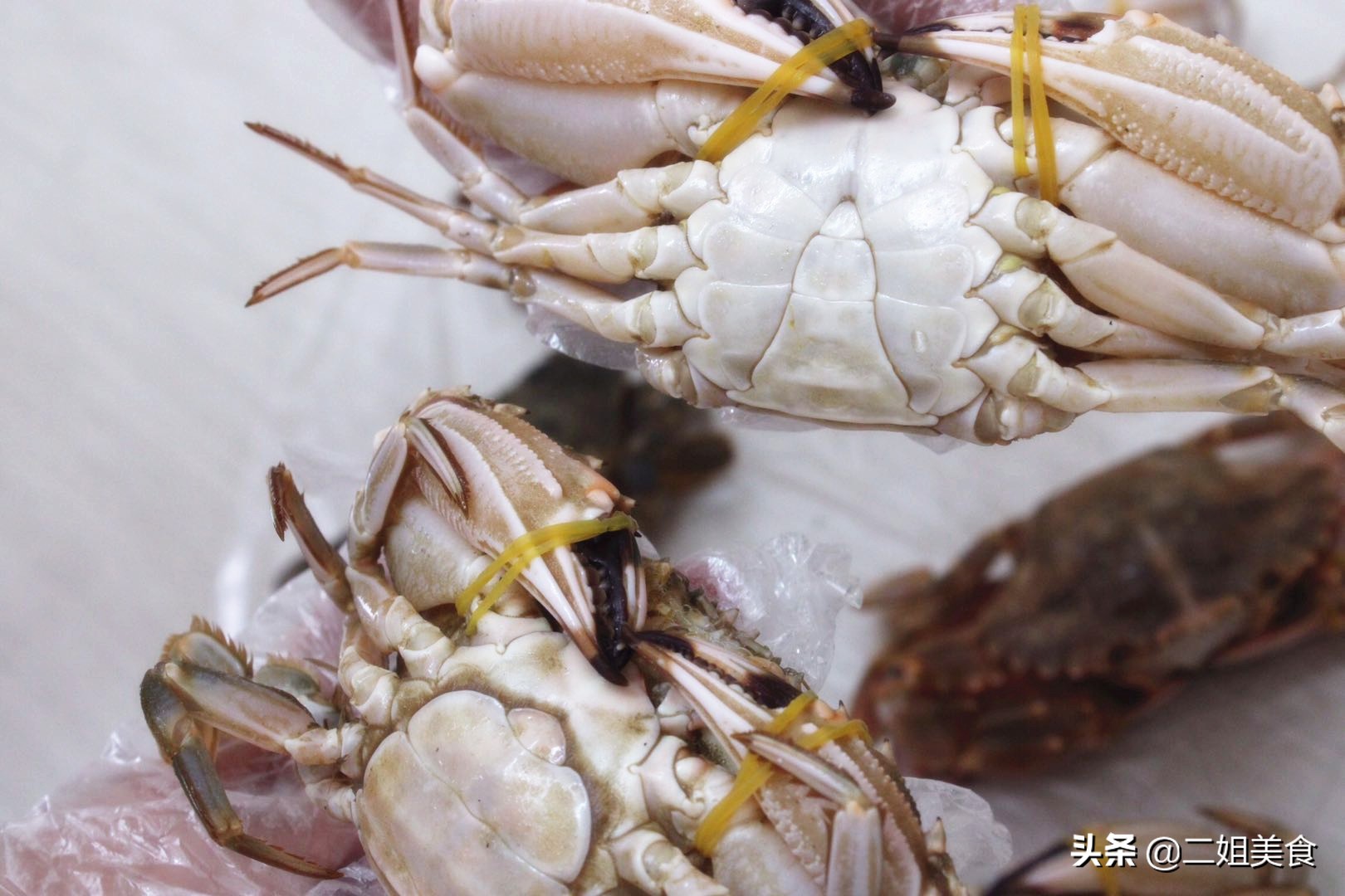 螃蟹买黄色的好还是买青的好,买螃蟹需要注意什么怎么选