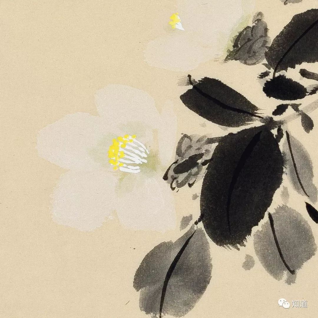 绘画必须明白的知识,绘画必须要学会什么