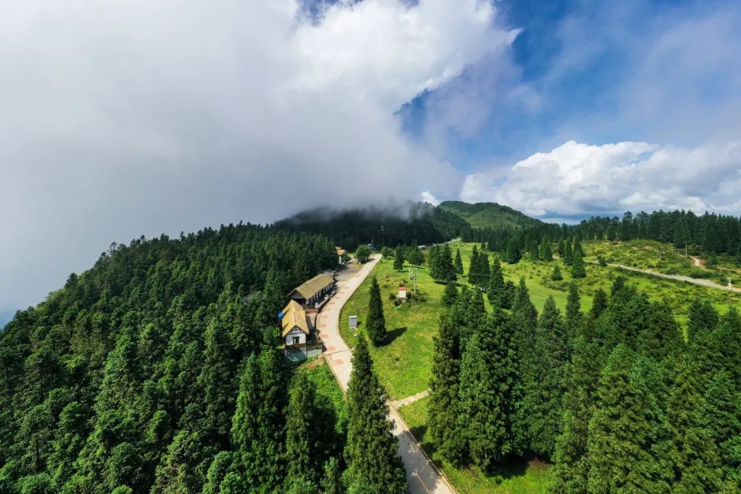 石柱康养大会,康养产业博览会石柱