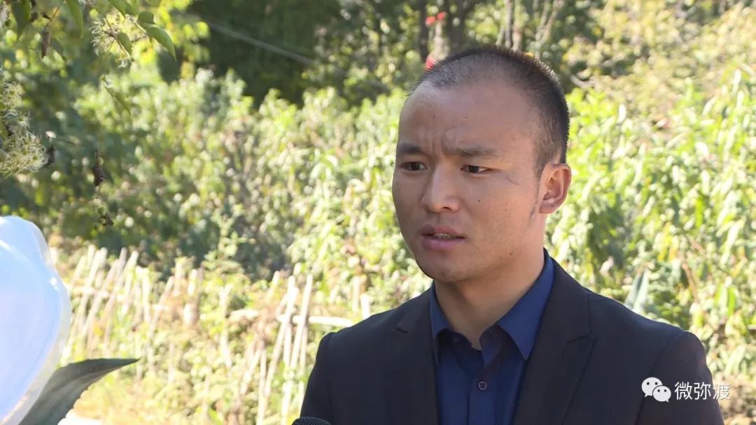 冬桃挑起农特“群英汇”，雾本丰收季电商很给力