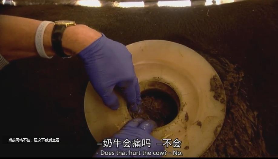 美国人越穷越胖,美国人为什么很穷还那么胖