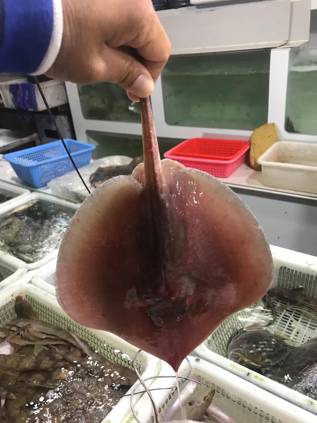 珠海斗门哪里海鲜便宜,吃货必去的海鲜城市