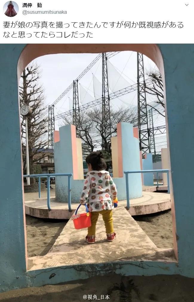 狗狗偷吃红烧肉还把主人坑惨了,狗狗偷吃了好多宠物零食