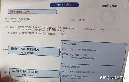 马也有护照？中国、日本的最好辨认，法国居然这么写！