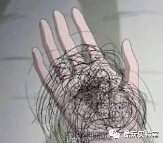 国货彩妆开挂了,国货彩妆新开挂