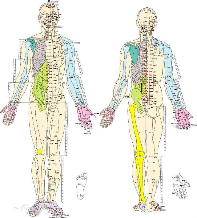 中医所讲的经络真的存在吗,中医经络与经筋循行路线不一样