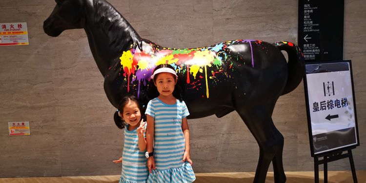 三亚红树林有亲子活动,三亚红树林和海韵