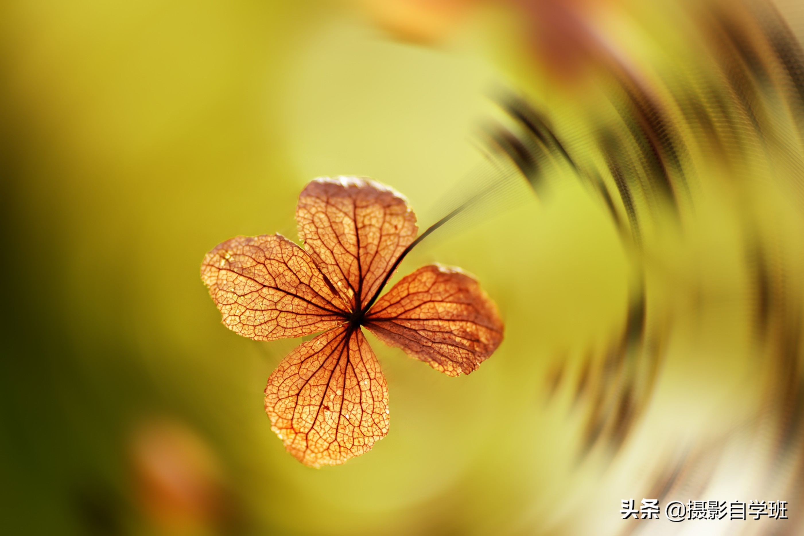 自学摄影全套摄影口诀表,记住摄影口诀想拍不好也难
