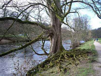 小孩五行命理,孩子五行