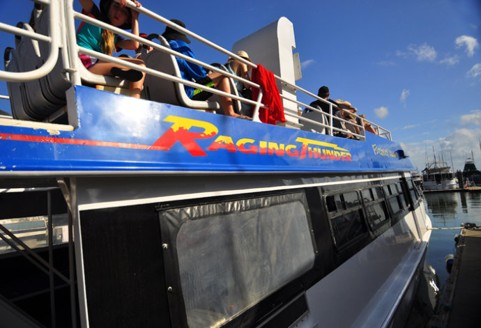 全民热遗｜大堡礁上有个翡翠岛，绝美好玩，还是海龟康复中心