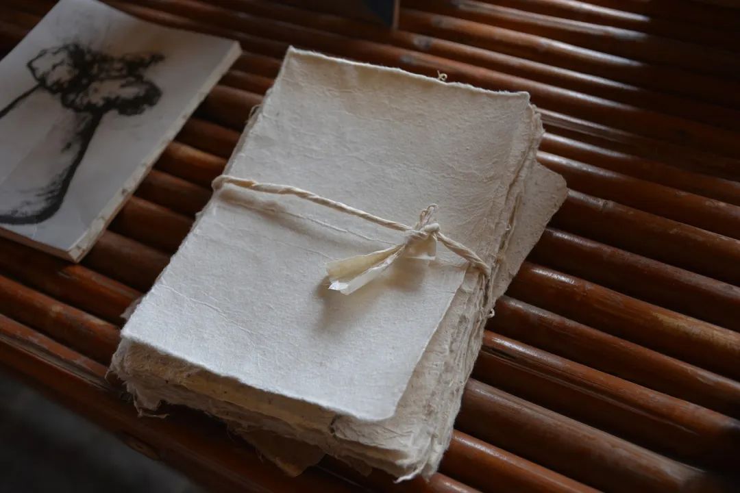 这是一个充满生机的公园怎么说,这是一个充满生机的国度朗诵