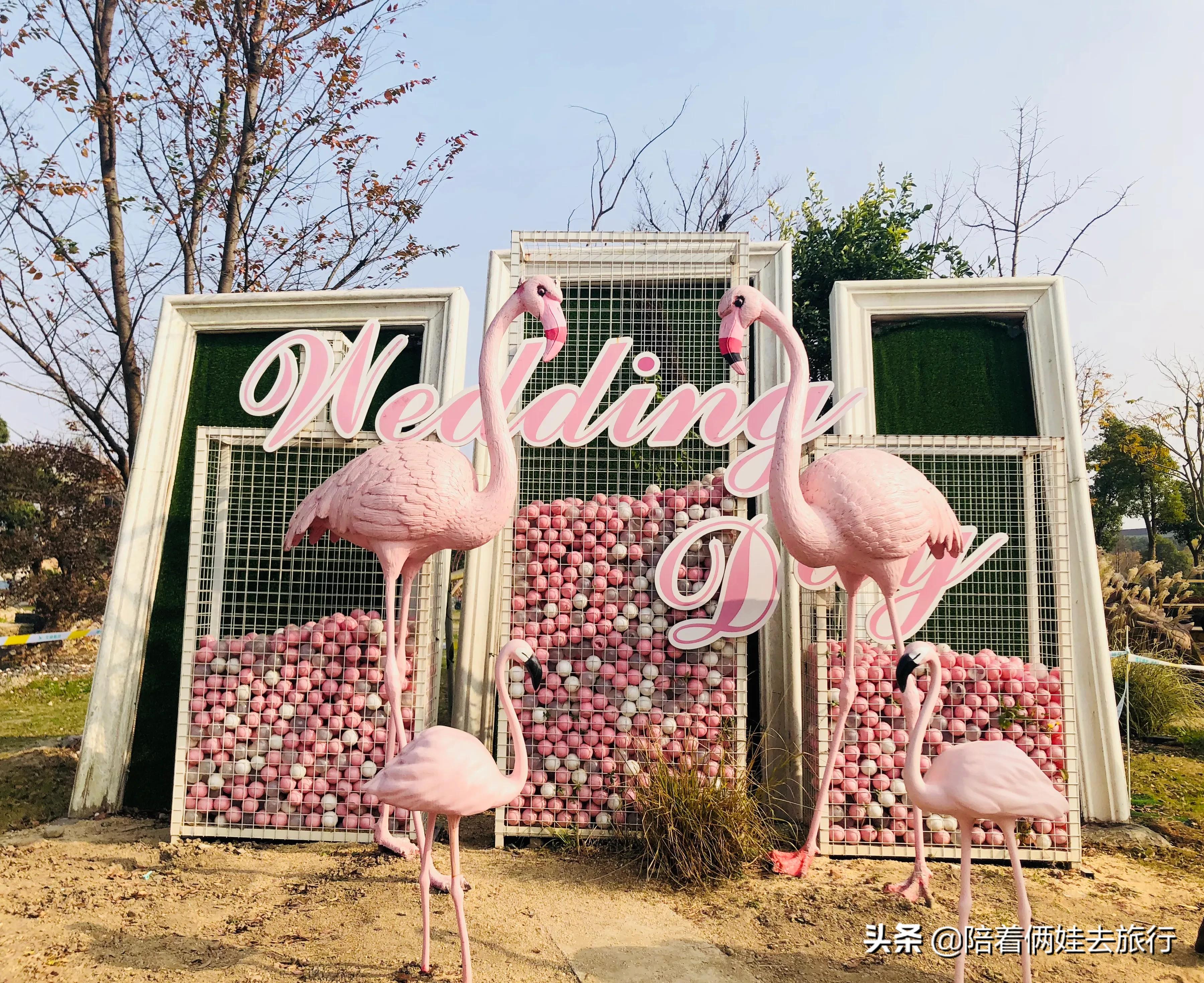 上海浦江郊野公园一日游攻略大全,上海浦江郊野公园奇迹花园地图