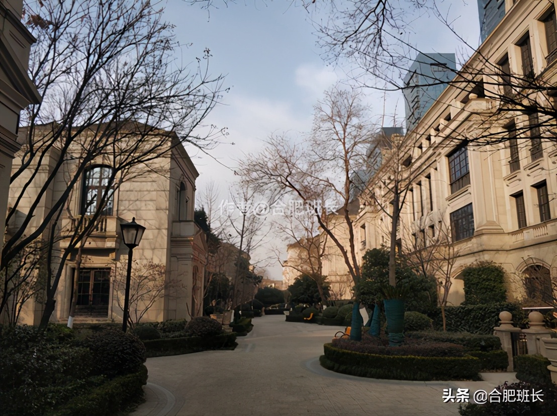 可以传世的房子格局,合肥汤臣一品海景房