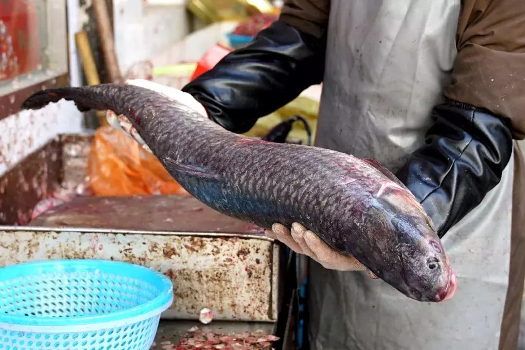 年味｜带上小拖车跟我走！这里买年货实惠好吃