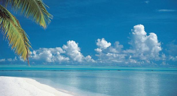 惠州海边酒店无边际泳池,惠州无边泳池民宿