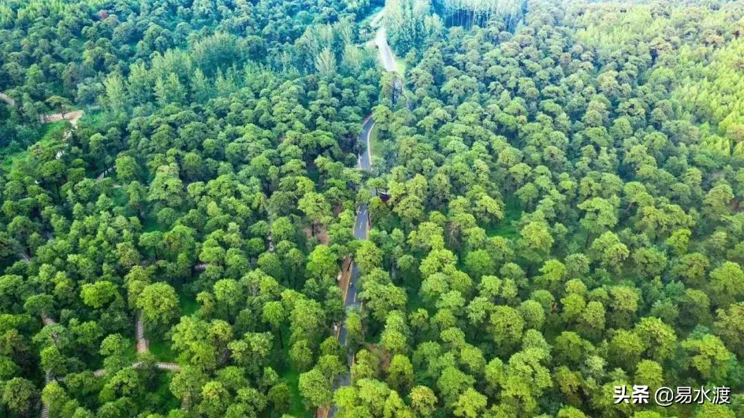 易县自行车赛,2019易县山地车越野赛