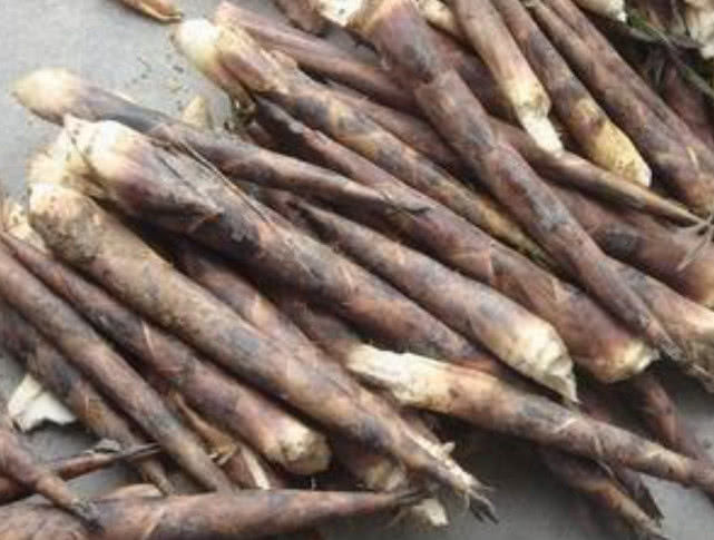 哪种笋最好吃又实用,最好吃的笋是哪种