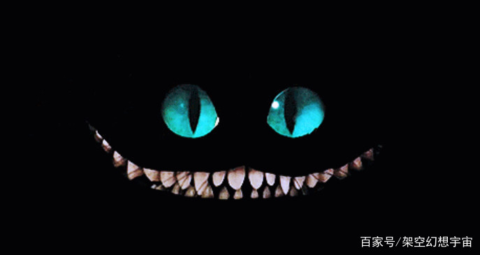 猫咪的迷惑行为历史版,可爱的猫咪黑历史