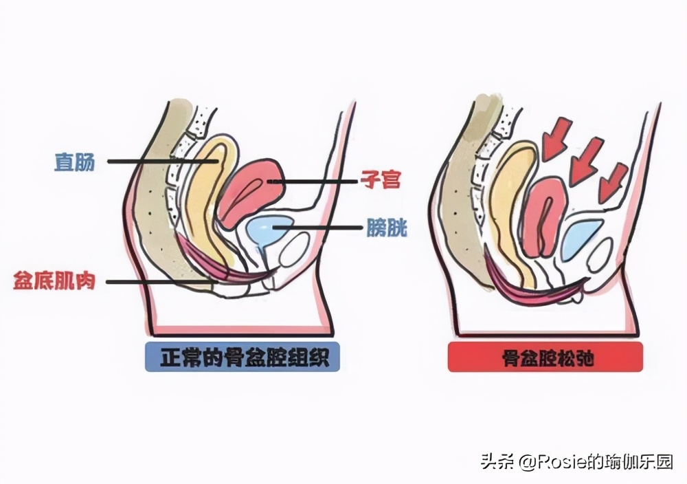 吉娜产后身材火速恢复,吉娜孕期腰围