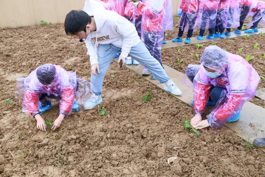 重庆渝北区最新学校,重庆渝北试点学校