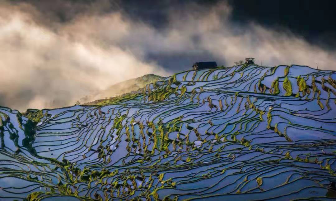 和生物多样性会议一起第九季孤独美食家贵州火锅完结了走游慢活族