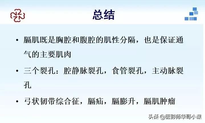 「精品课件」胸部膈肌的解剖及常见病变影像的表现