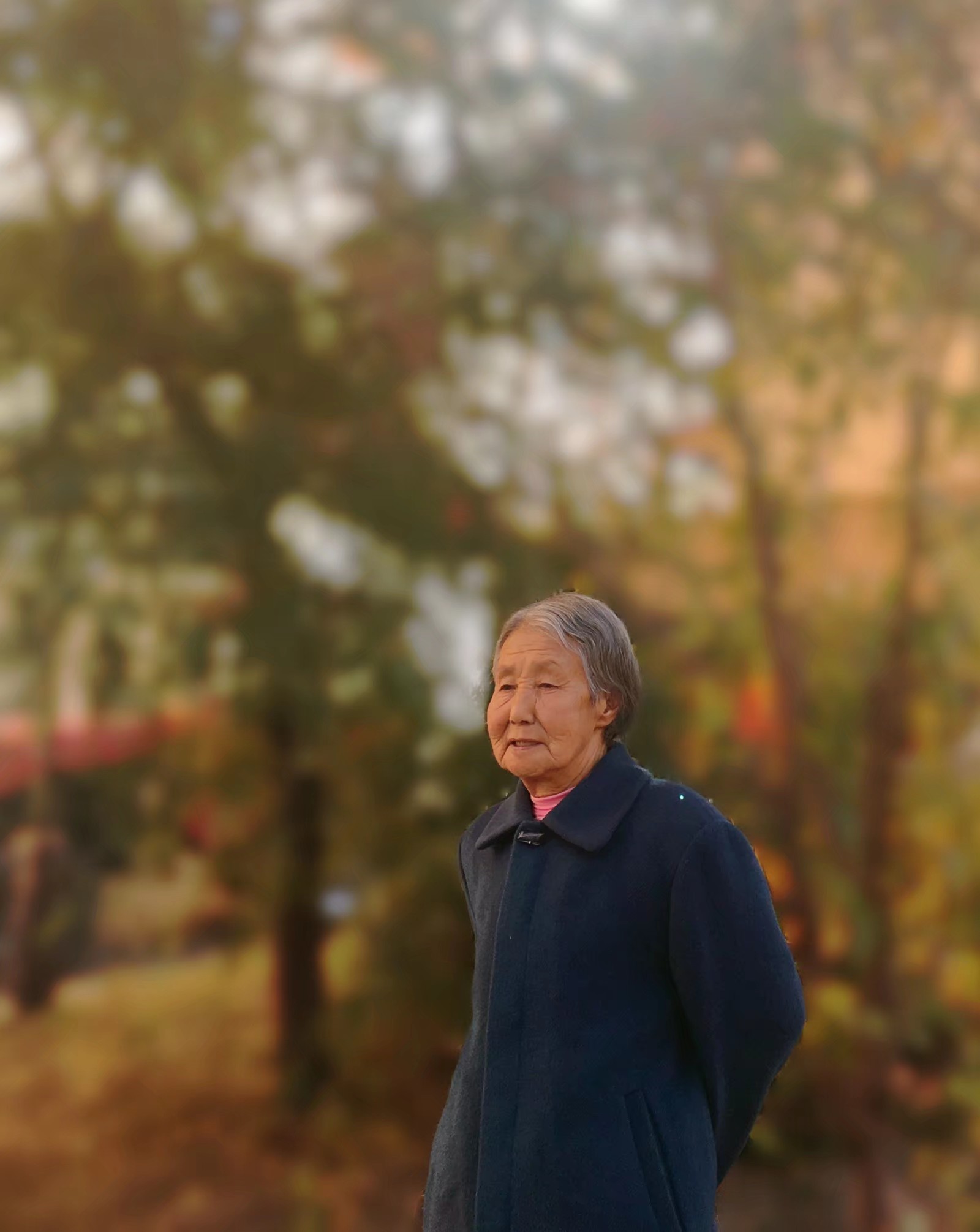 鎴戠殑姣嶄翰骞朵笉浼熷ぇ璇綍,姣嶄翰骞朵笉瀹岀編浣嗕細绔敖鍏ㄥ姏