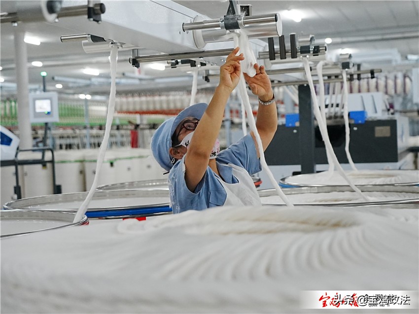 宝鸡县域经济高质量发展论坛,宝鸡市各县2019经济状况