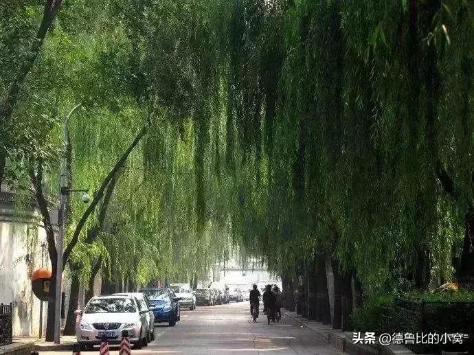 揭秘北京城究竟有过多少条胡同,北京哪条街值得一逛