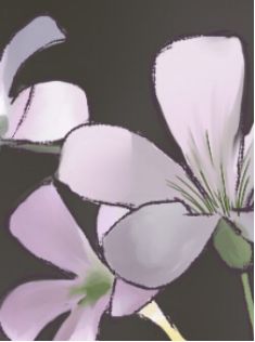 板绘手碰到板子怎么办,板绘手太抖怎么办