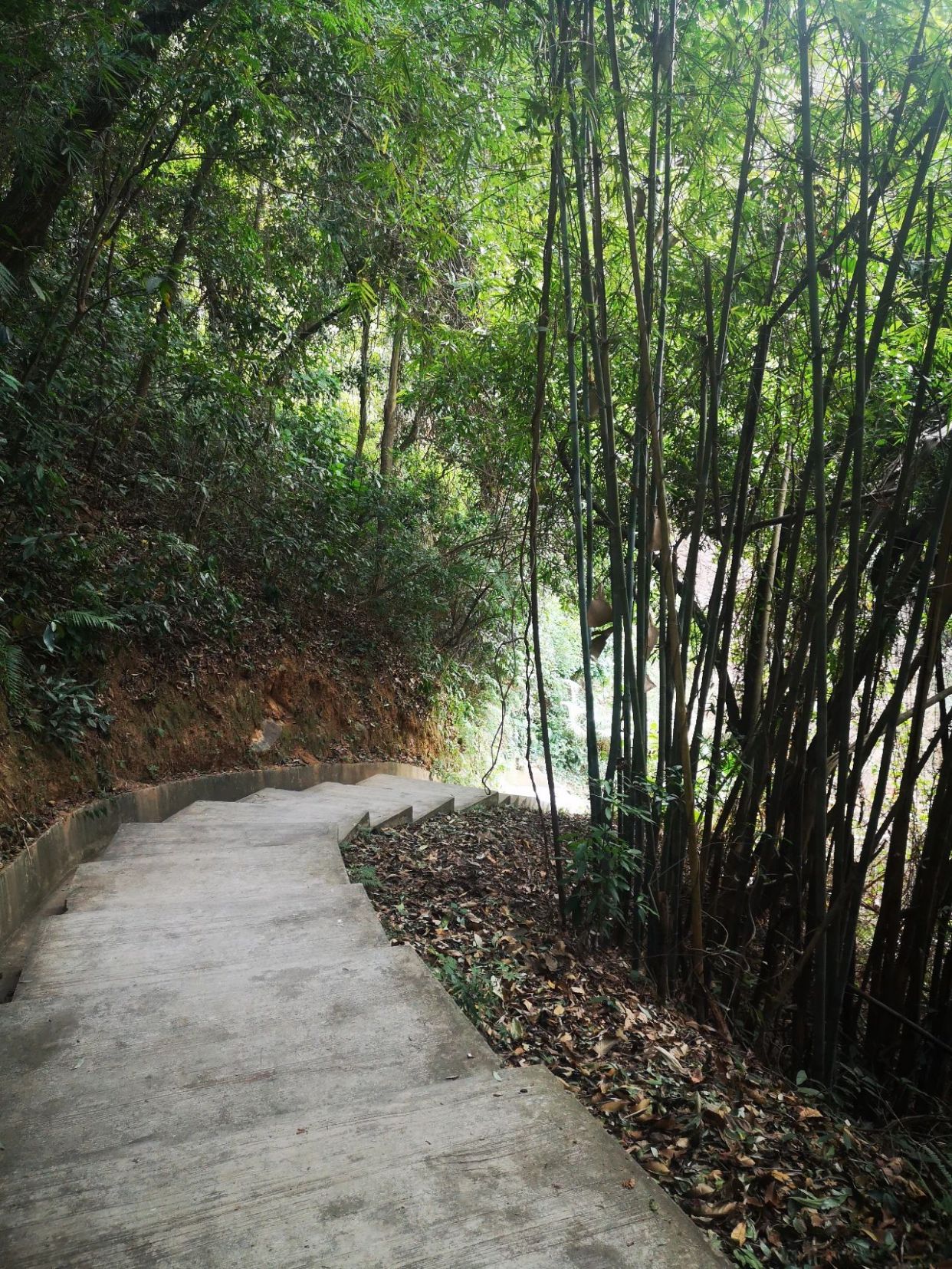 广州市帽峰山一日游全攻略图片,广州帽峰山景区自驾旅游攻略图