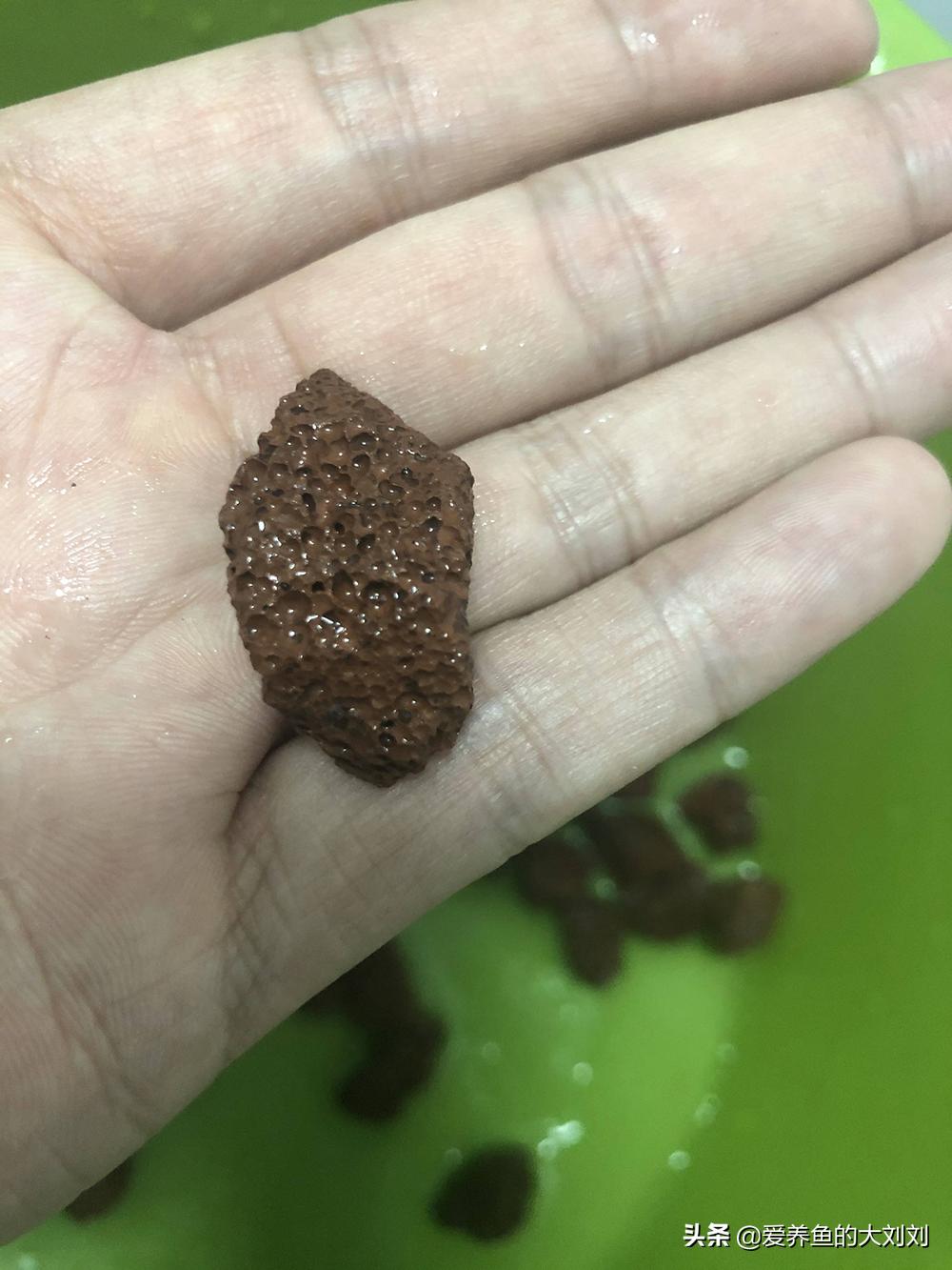 养鱼的滤材避坑,养鱼用的天然滤材