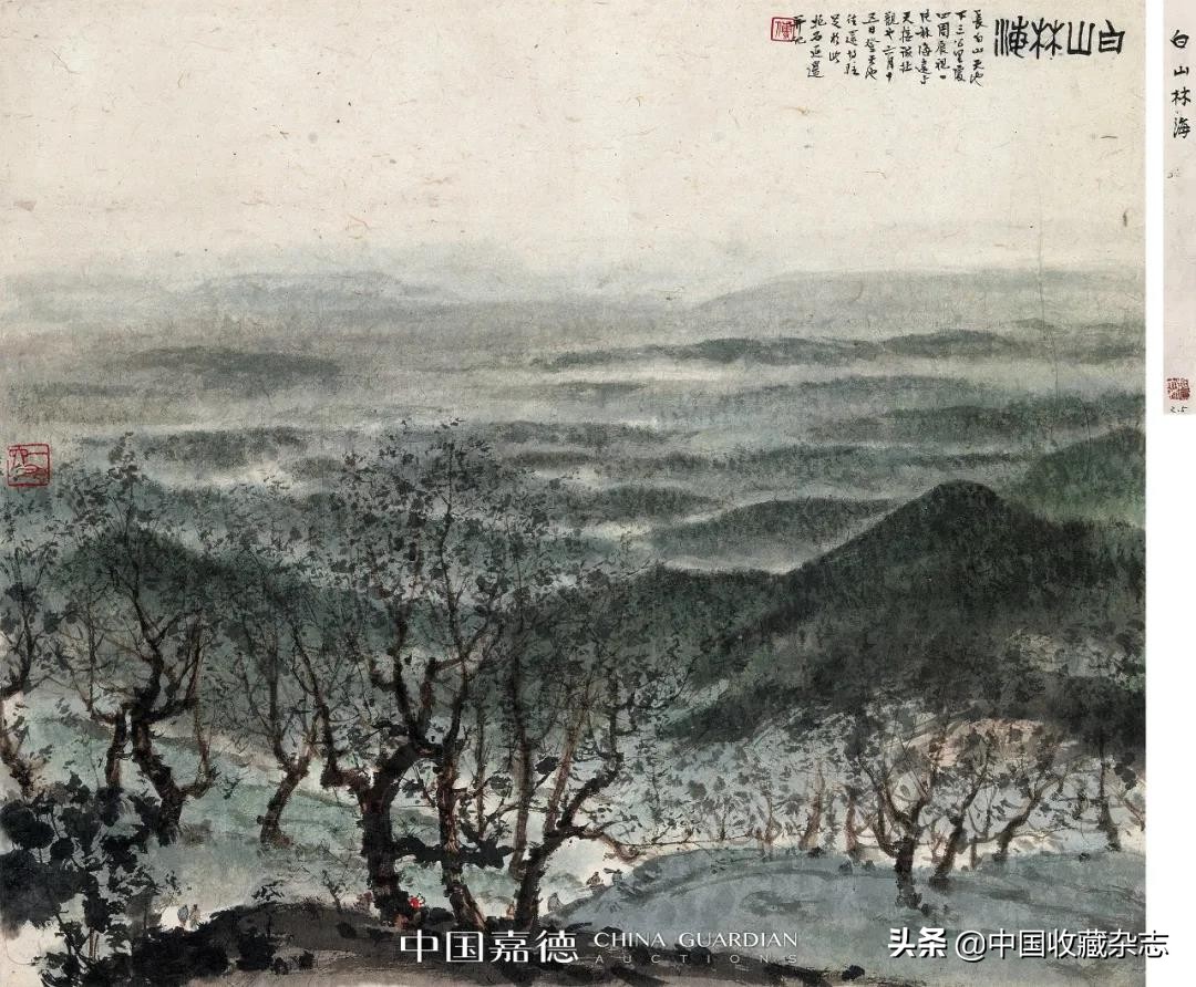 大观之夜最新消息,2021年大观之夜