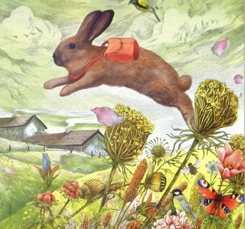 小学生课外读物兔子坡,兔子坡课外读物