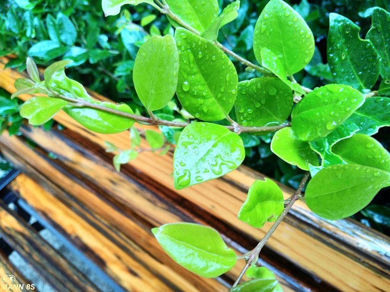 凌漆测评,mann8s三防手机