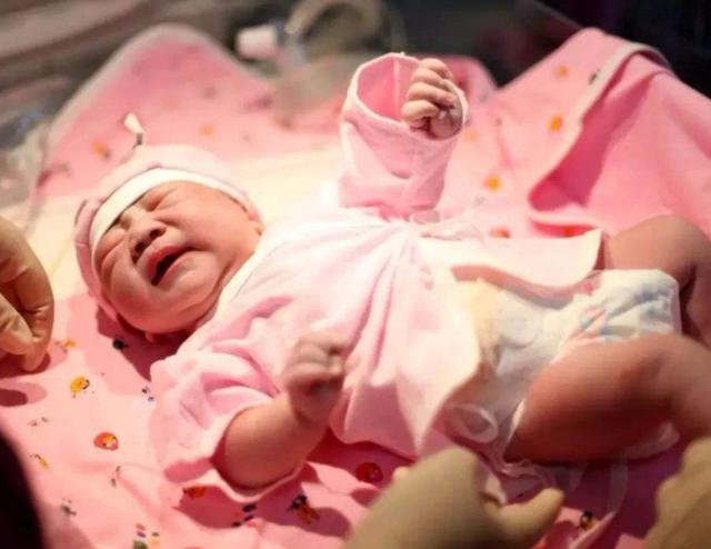 黑龙江宿舍产子室友淡定回应,湖北大三女生厕所产子